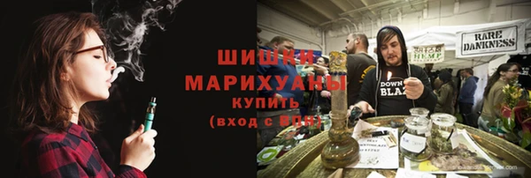 ГАЛЛЮЦИНОГЕННЫЕ ГРИБЫ Верея