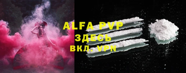 ГАЛЛЮЦИНОГЕННЫЕ ГРИБЫ Верея