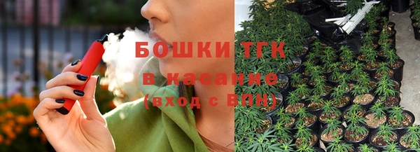 ГАЛЛЮЦИНОГЕННЫЕ ГРИБЫ Верея