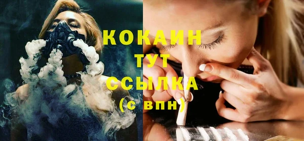 ГАЛЛЮЦИНОГЕННЫЕ ГРИБЫ Верея